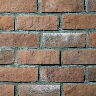 Natural Bricks