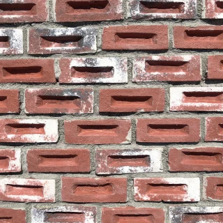 Carved Bricks